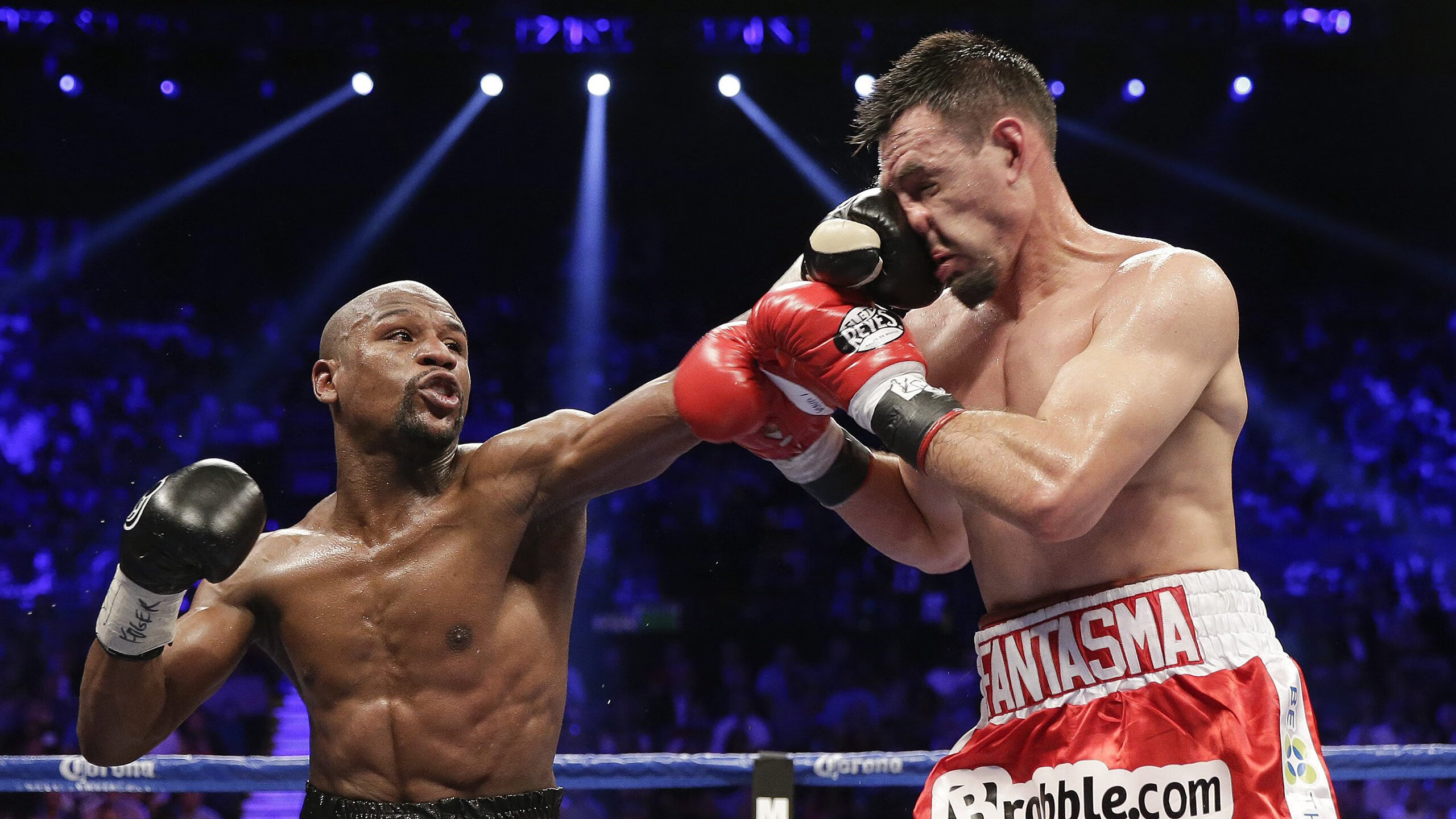 皇冠体育-赛点之战WTT冠军赛前瞻：布鲁诺·费尔南德斯伤情更新，洛杉矶快船冲击连败纪录  第1张