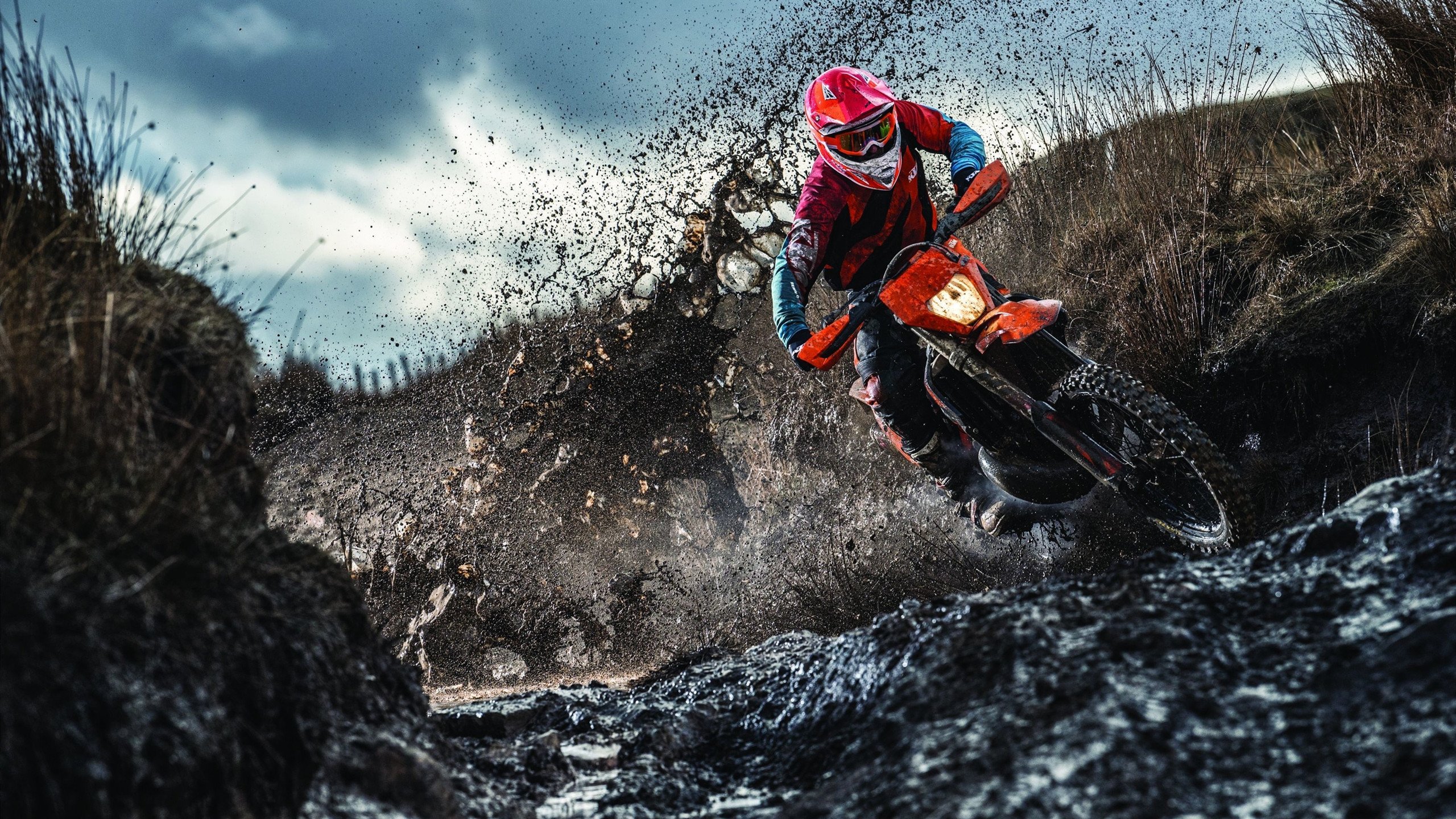 皇冠-莱万多夫斯基迎来二十赛季高光表现，TL球迷沸腾！  第1张